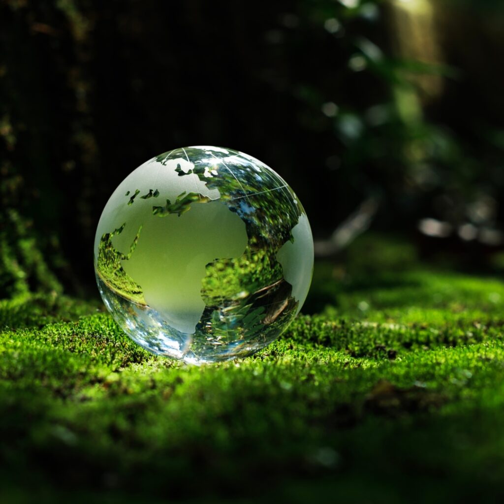 Committing to Net Zero